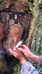 must watch this video