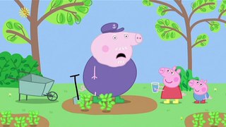 Peppa Pig S04e29 Perfume
