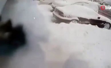İstanbul’da pitbull dehşeti