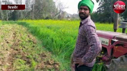 कृषि बिल के विरोध में किसान ने फिर जोती फसल