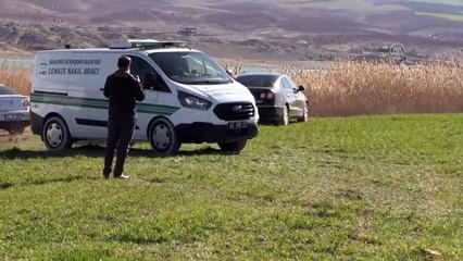 ŞANLIURFA - Soba düzeneği kurulu panelvanda biri çocuk 3 kişi ölü bulundu