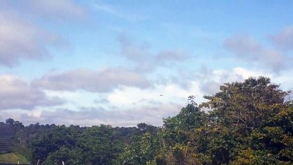 Boeing 737-300 PR-SLU na aproximação final antes de pousar em Manaus vindo de Guarulhos