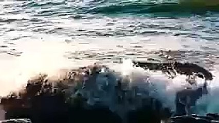 new video for you heart touching music