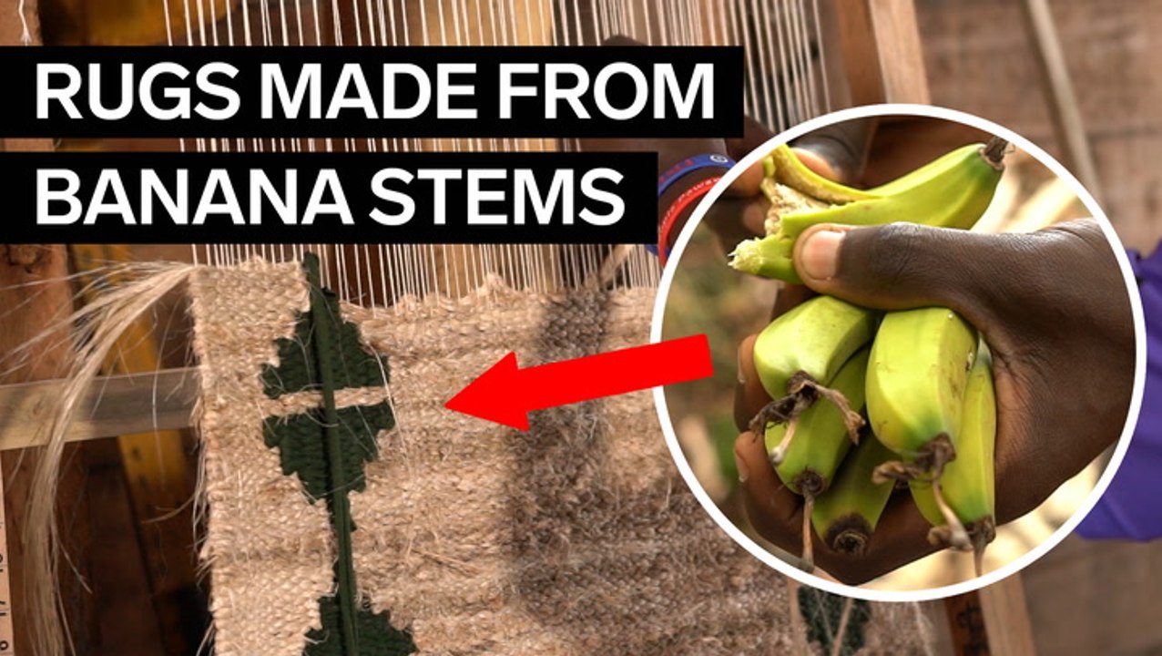 A company in Uganda is turning the waste from b...