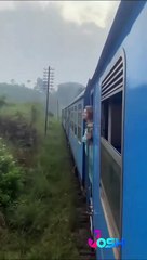 Feel the nature sound