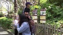 Families flock to reopened Los Angeles Zoo