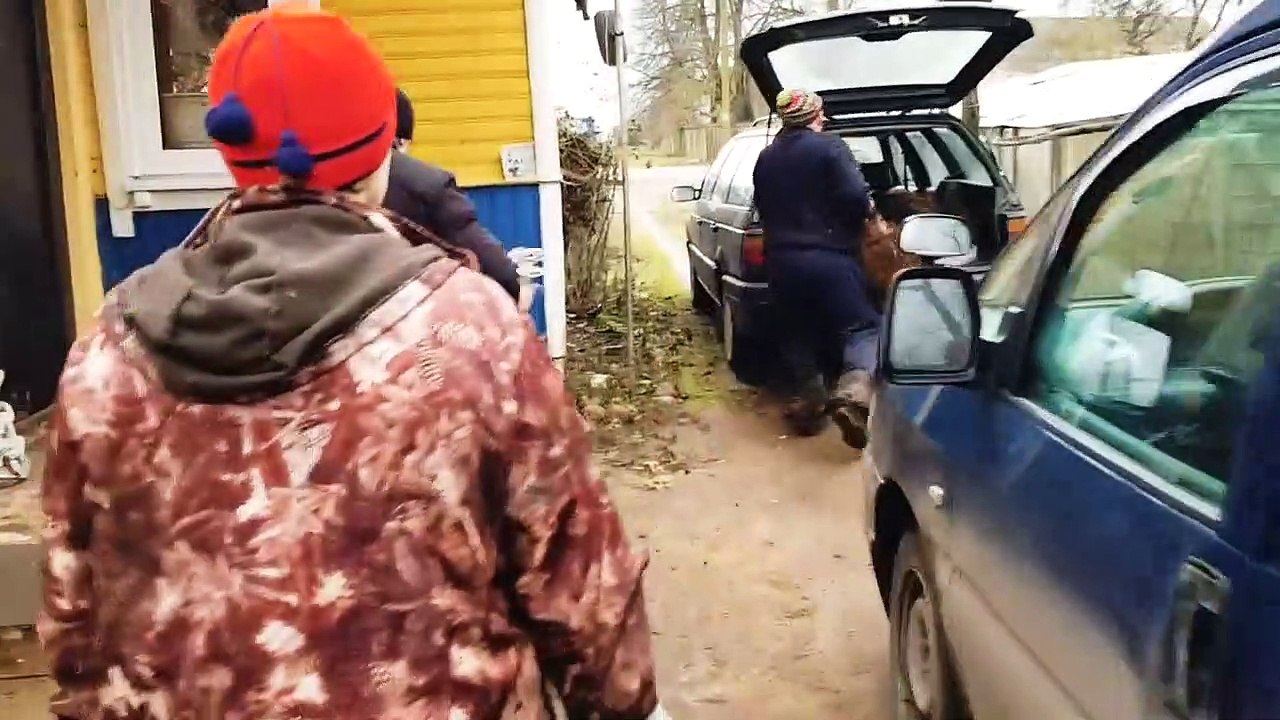 Нашёл жениха своим красоткам.Купил эдильбаевского барана и овцу .Перевёз всех овец