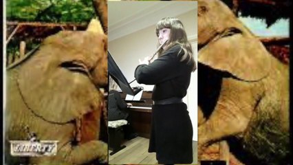 Baby Elephant Walk Mancini  _ Flute