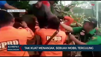 Download Video: Viral Mobil Terguling Akibat Tak Kuat Menanjak