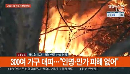 안동 산불 밤새 200㏊ 태워…"오전 중 진화 목표"