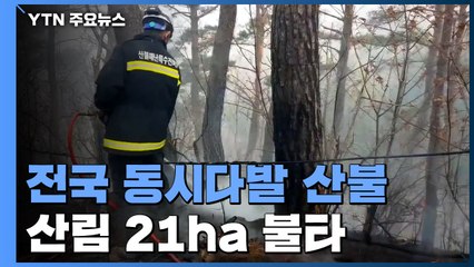전국 산불에 총력 대응...하동·논산·영동 잔불 진화 중 / YTN