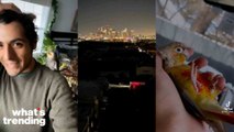TikTok Users Sleeps In His Car With Pet Birds During Dallas Winter Storm To Keep Warm