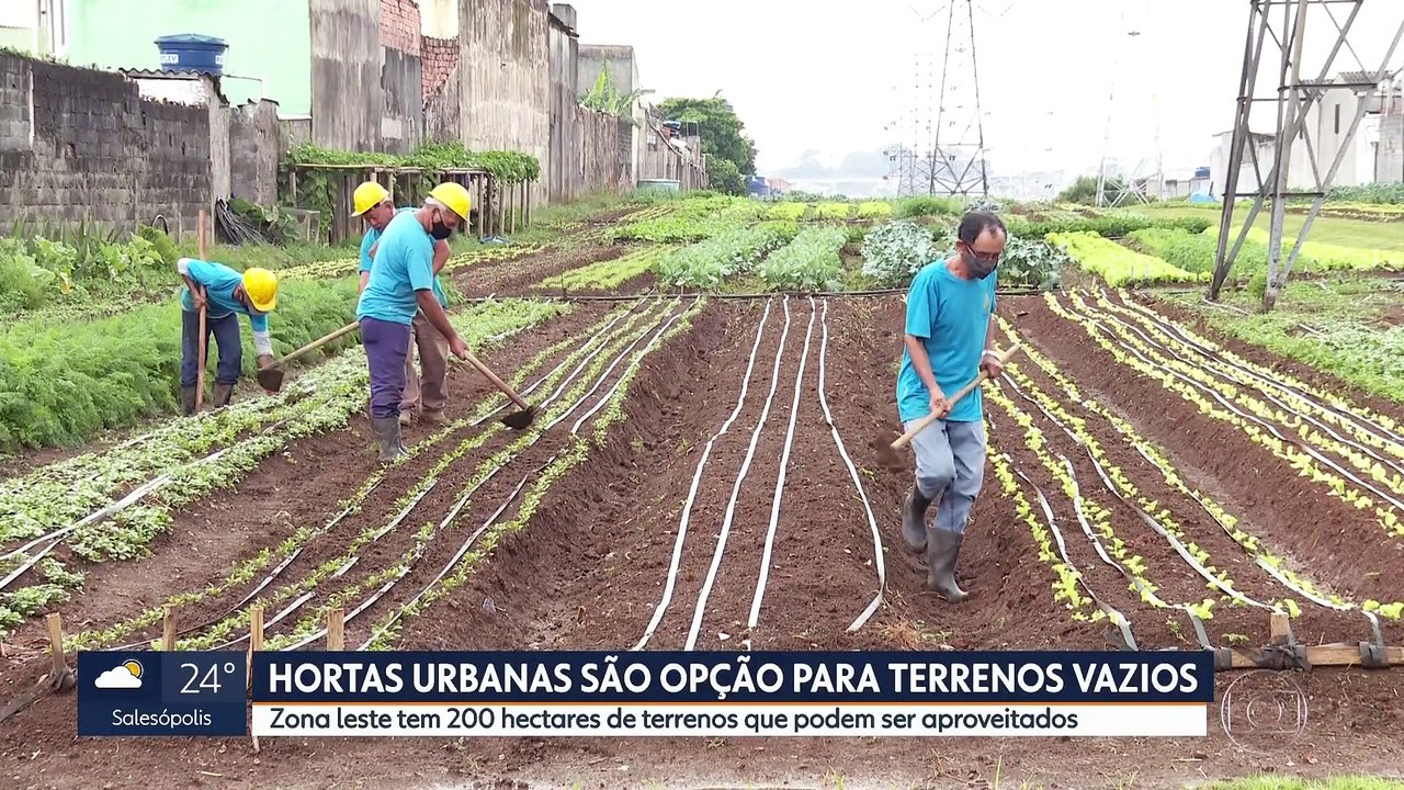 Zona Este de la Ciudad de Sao Paulo tiene 200 hectáreas de terrenos que podían ser huertas