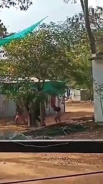 Video: मंदिर के हाथी को पेड़ से बांधकर बेदर्दी से पीट रहे थे दो लोग, जानिए फिर उनके साथ क्या हुआ
