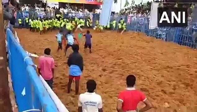 सांड को काबू में कर मना रहे थे त्योहार, तभी उसने मारी धोबी पछाड़ और कुछ यूं भाग गया, देखिये वीडियो