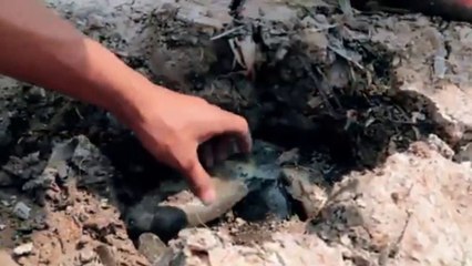 amazing dry season fishing from underground | CreativeVilla.