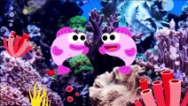 Baby Shark Dance- Pinkfong Sing & Dance - Animal Songs -Different Version