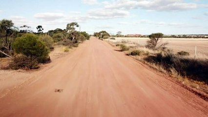 Farmers in WA's south-west corner adapt to lack of rain