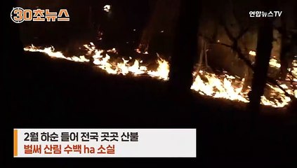 [30초뉴스] "불덩이가 막 날아다녀"…'잔인한 4월' 아직 멀었는데