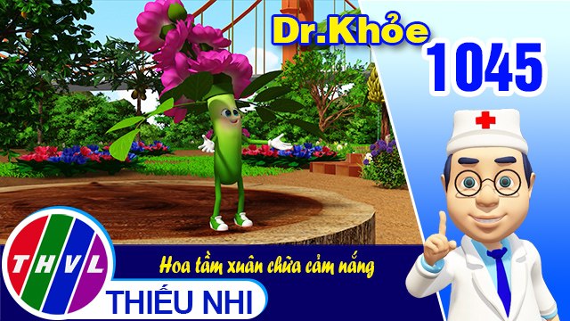 Dr. Khỏe - Tập 1045: Hoa tầm xuân chữa cảm nắng
