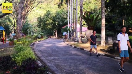 ◤MCO 2.0◢ 植物园管理层发生小误会 民众差点吃闭门羹