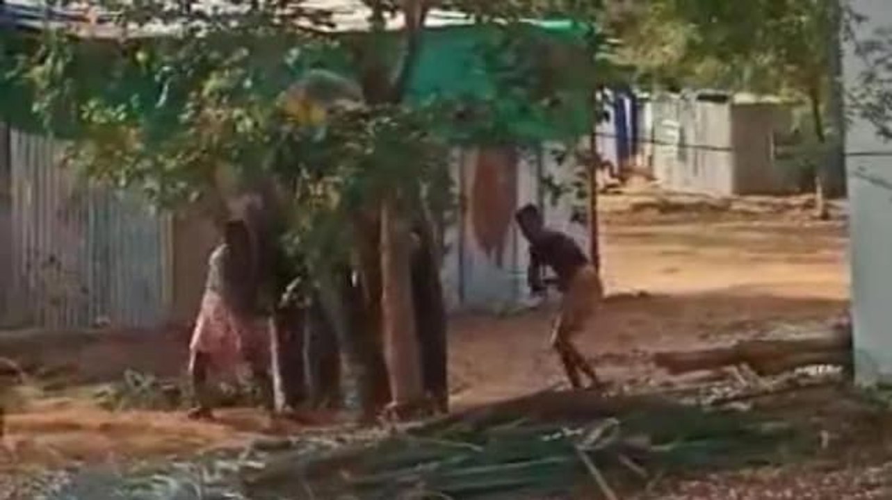 End animal brutality: Elephant thrashed at Tamil Nadu rejuvenation camp, video goes viral