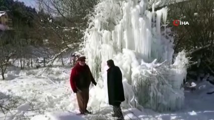 Su borusu patladı, buzdan ağaca dönüştü