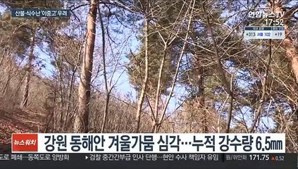 강원 동해안 가뭄 심각…산불·식수난 '비상'