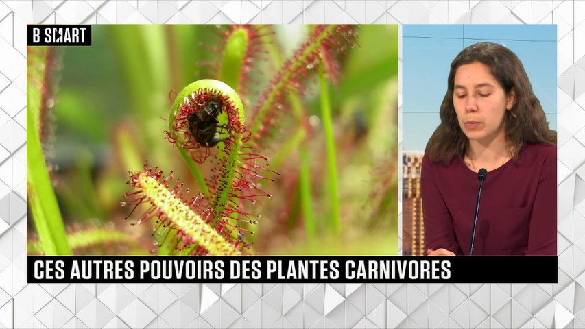 LE RENDEZ-VOUS du lundi 22 février 2021