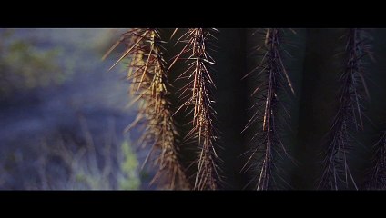 Nomadland Movie Clip - Fern at the RTR