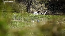 Mueren 6 militares en un accidente de avión en México