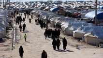 ISIL fighters' families: Wives, children stranded in Syrian camps