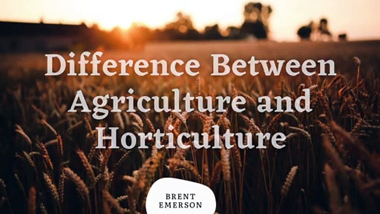 Trend In Difference Between Agriculture And Horticulture.