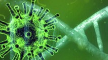 Pandemien - eine Herausforderung für die Gesellschaft und Forschung am Beispiel von SARS-CoV-2