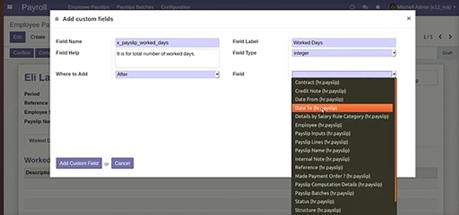 How to add multiple custom fields on HR Payslip module | Odoo Apps Features