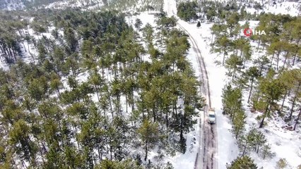 Muratdağı’nda yabani hayvanlar için yem bırakıldı
