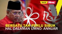 SINAR PM: Bersatu tak perlu sibuk hal dalaman UMNO: Annuar