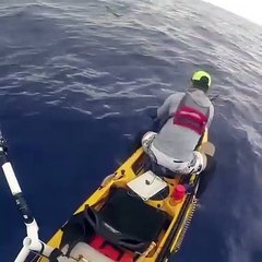 Teste cardíaco em alto mar- Foi por pouco - TUBARÃO