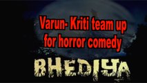 Kriti Sanon,Varun Dhawan starrer 'Bhediya' release date announced