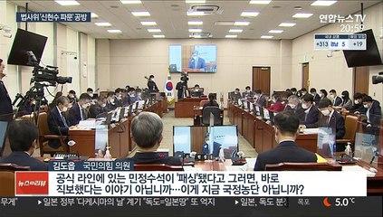 野 "申패싱, 국정농단"…박범계 "檢이 언론플레이"