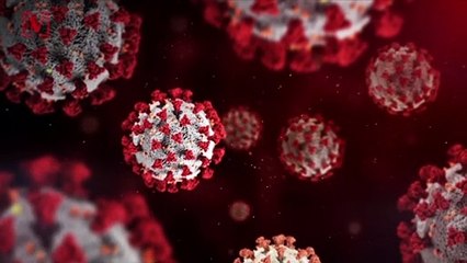 Looking for a Change? Experts Weigh in on Big Decision Making Mid-Pandemic