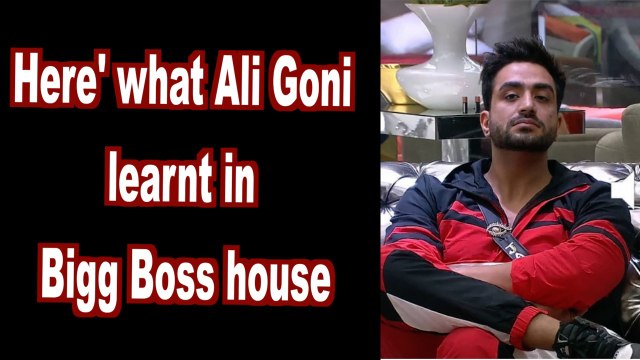Aly Goni- I learnt a lot from Bigg Boss 14 house
