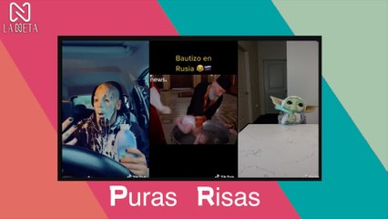 Puras Risas! , lo mejor de videos graciosos en Tiktok 