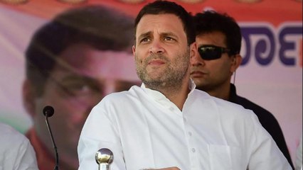 Descargar video: Kerala: Rahul Gandhi holds a tractor rally in Wayanad