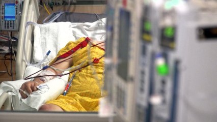 EE.UU. a punto de superar el triste récord de más de medio millón de fallecidos por la COVID-19