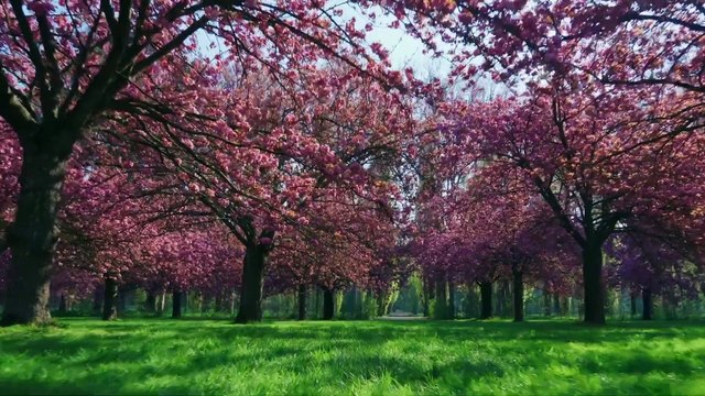 Julien Clerc : le clip Mon refuge