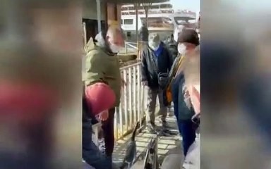 İstanbul'da ölü yunus karaya vurdu