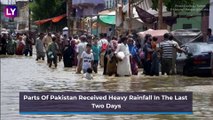 Crocodiles On Karachi's Streets: Are The Reptiles Escapees From Manghopir Shrine in Pakistan? Know The Truth Behind The Viral Video