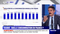 La consommation de viande des Français est-elle en baisse ?