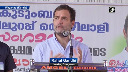 PM Modi ridiculed MGNREGA but accepted it played as saviour during Covid: Rahul Gandhi